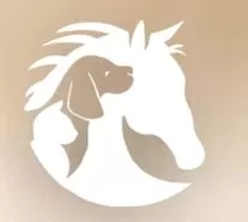 Il Ponte dell'Arcobaleno Cremazione Animali Torino